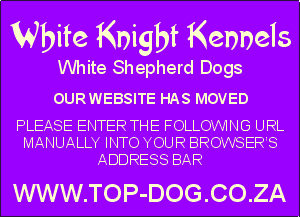 White Shepherd Dogs